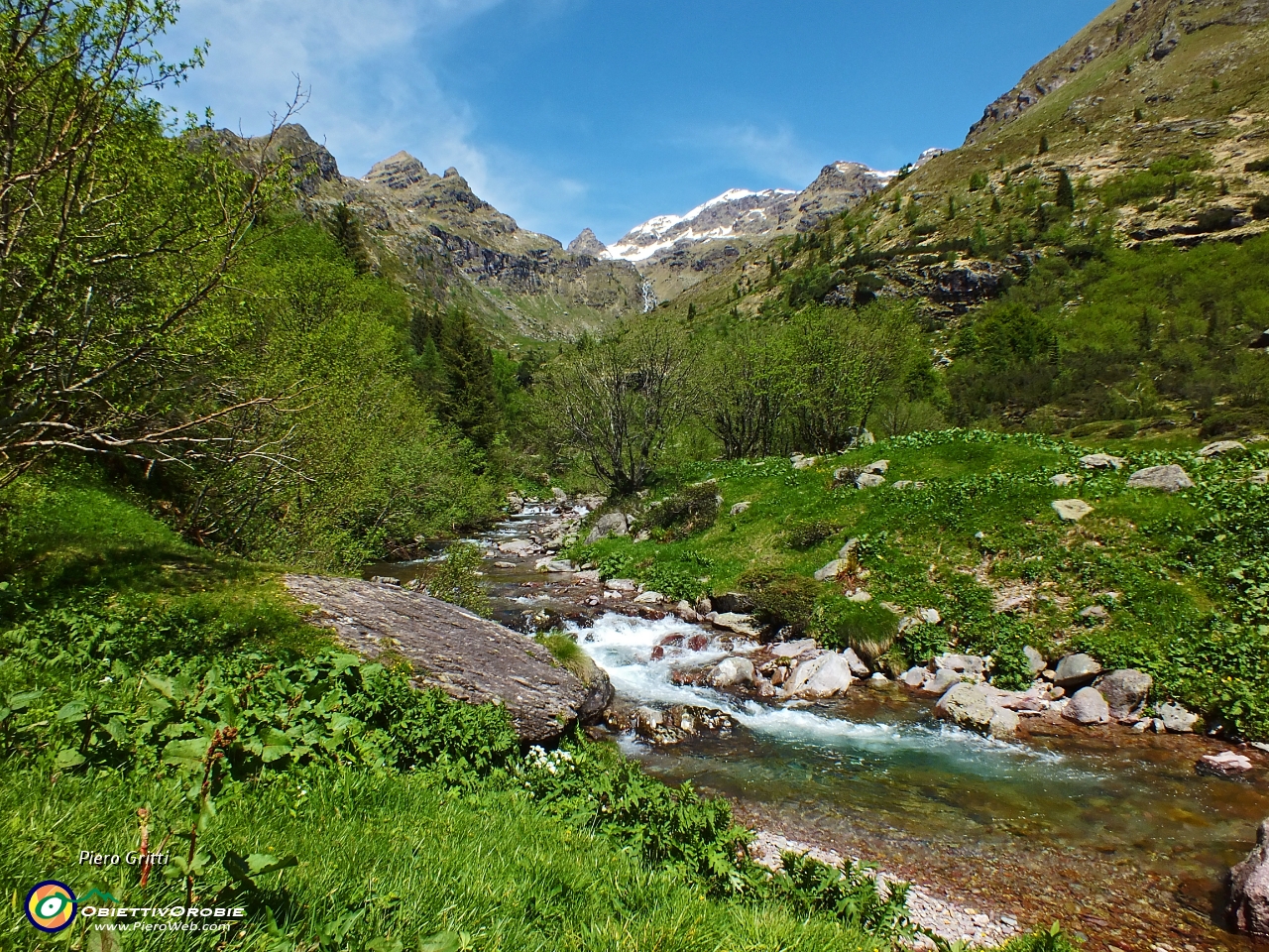 38 Dalle cime ancora innevate il torrente carico d'acqua....JPG